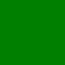 Бумажный фон FST 2,72х11 м. Цвет: тёмно-зелёный