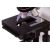 Микроскоп Bresser Science TFM-201 Bino