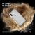 Чехол Caseology Skyfall для iPhone XS Max Серебро