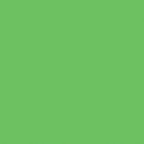 Бумажный фотофон Colortone 2.72x11м. Tech Green BDSV-2.75 №46