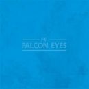 Тканевый фотофон Falcon Eyes BCP-106 BC-2770