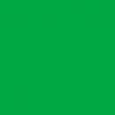 Нетканый фон FST 3x4 зелёный