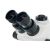 Микроскоп Levenhuk ZOOM 1T, тринокулярный