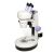 Бинокулярный микроскоп Levenhuk 5ST