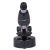 Микроскоп Levenhuk LabZZ M101 Moonstone Лунный камень