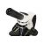 Микроскоп Levenhuk Discovery Pico с книгой
