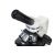Микроскоп Levenhuk Discovery Atto Polar с книгой