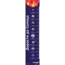 Ростомер Levenhuk «Дорасти до Солнца»