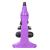 Микроскоп Levenhuk Rainbow 50L Amethyst Аметист
