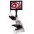 Микроскоп цифровой Levenhuk MED D10T LCD, тринокулярный