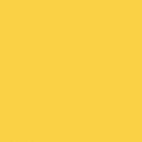 Фон бумажный 1,5 х 2,7 м (Цвет "14 Forsythia Yellow" по каталогу Superior)