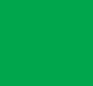 Фон нетканный 2,1 х 4,0м зеленый