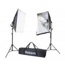 Комплект флуоресцентных осветителей Rekam CL-310-FL2-SB Kit