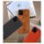 Чехол Santa Barbara Polo & Racquet Club Knight для iPhone 11 Pro Max Красный