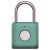 Умный замок Xiaomi Smart Fingerprint Lock padlock Зеленый