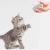 Игрушка для животных Xiaomi Petoneer Pet Smart