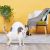 Фотография товара «‎Умный домик для домашних животных Xiaomi Moestar Spaceship Белый»‎