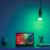 Фотография товара «‎Лампочка светодиодная Xiaomi Yeelight Smart Led Bulb 1SE»‎