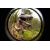 Объектив Lensbaby Circular with Fisheye для Canon