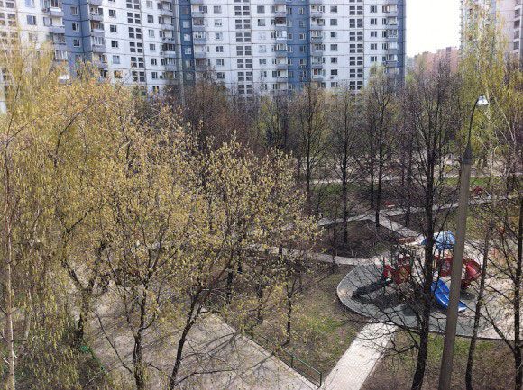 Фотография сделанная с помощью Фишая и iphone 4